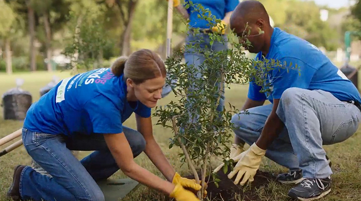 Allstate volunteers planting tree